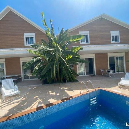 Villa Soleil Étang-Salé les Bains Exteriér fotografie